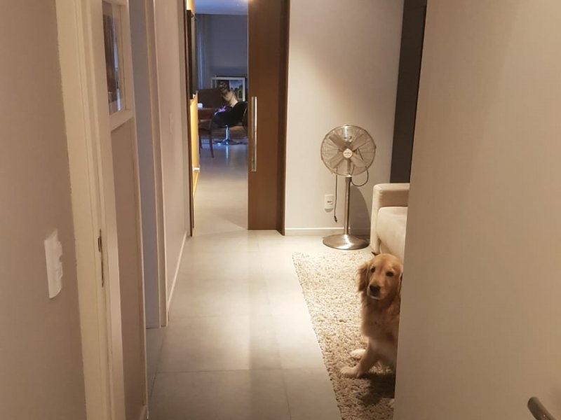 Cobertura à venda Abraão com 170m² e 2 quartos por R$ 1.600.000 - 221301640-whatsapp-image-2018-05-13-at-13.jpeg