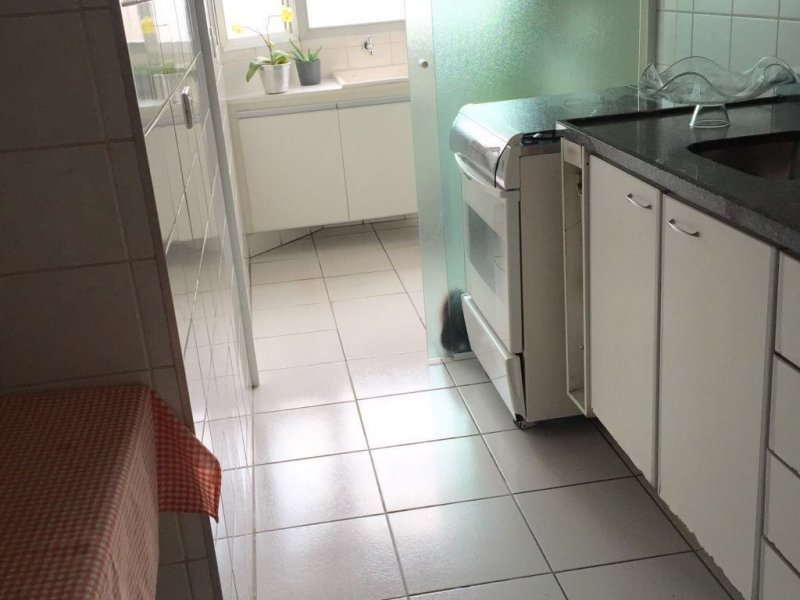 Apartamento à venda Vila Santa Catarina com 65m² e 3 quartos por R$ 450.000 - 1145993115-photo-2018-03-10-19-03-37-10.jpg