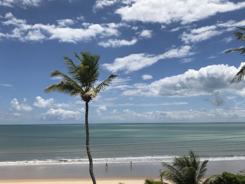 Apartamento à venda Jardim Oceania com 97m² e 3 quartos por R$ 650.000 - 907373758-ed090cd3-e88a-4713-be85-d405c839f381.jpeg