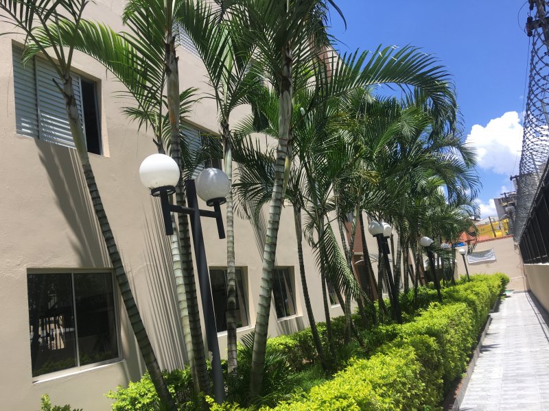 Apartamento à venda Macedo com 75m² e 3 quartos por R$ 300.000 - 208445786-52e26d12-b214-4dce-af1a-608e0f43bfaa.jpeg