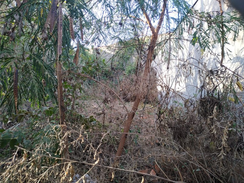 Terreno à venda Dona Edith Campos Fávero com 200m² e 1 quarto por R$ 185.000 - 608033877-casa-paulinia-tombamento-ii.jpeg