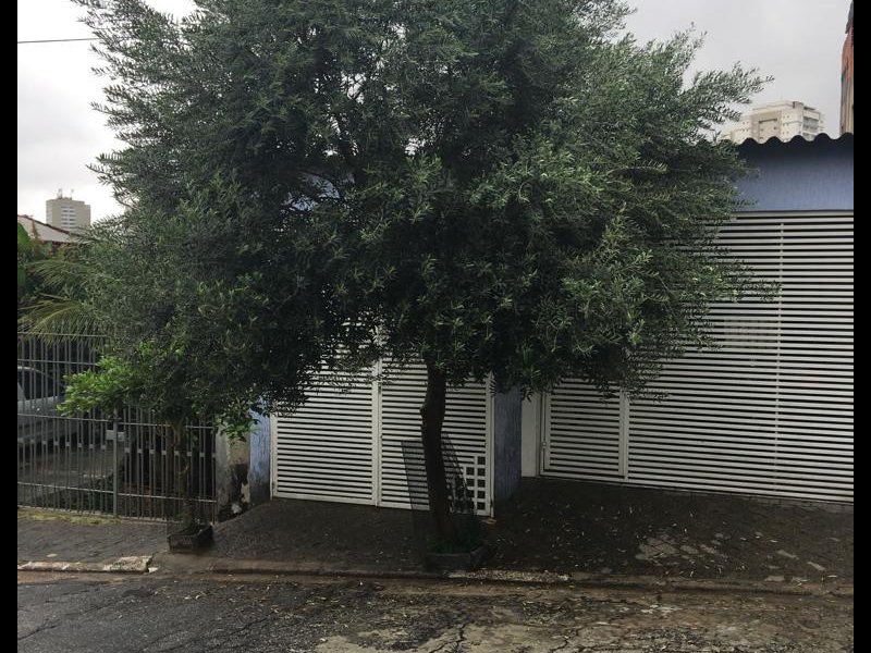 Casa à venda Vila Graciosa com 180m² e 3 quartos por R$ 750.000 - 1705574661-3cb585b7-0dcf-48af-97e8-630581ab3cfa.jpeg