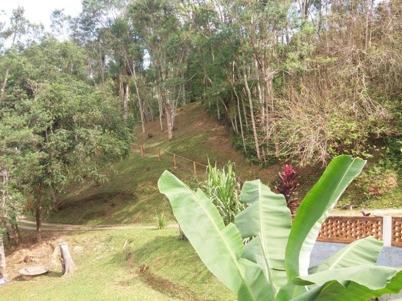 Chácara à venda Da Palmeirinha com 2200m² e 2 quartos por R$ 200.000 - 1558428180-whatsapp-image-2018-07-17-at-08.jpeg