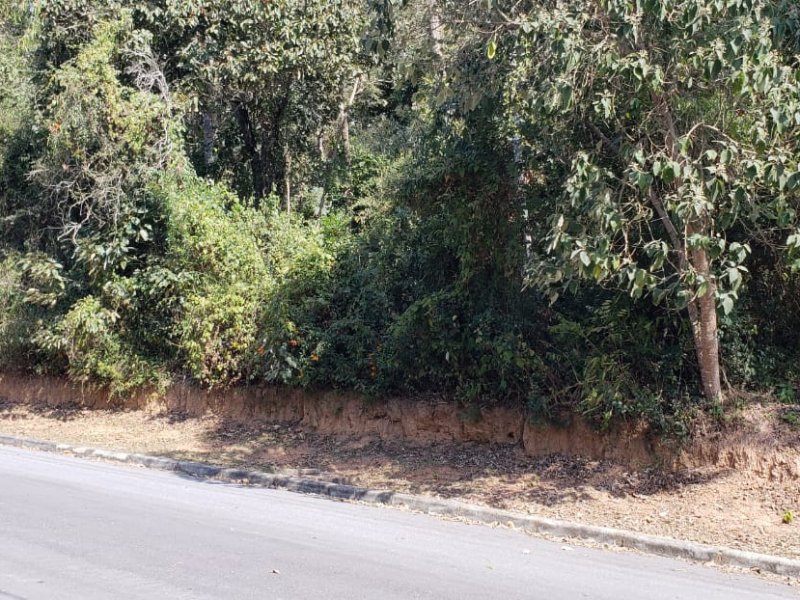 Terreno à venda Santa Inês com 1132m² e  quartos por R$ 400.000 - 1124329958-whatsapp-image-2018-07-09-at-17.jpeg