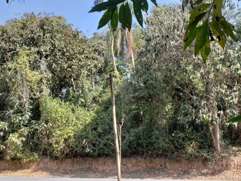 Terreno à venda Santa Inês com 1132m² e  quartos por R$ 400.000 - 1255719817-whatsapp-image-2018-07-09-at-17.jpeg