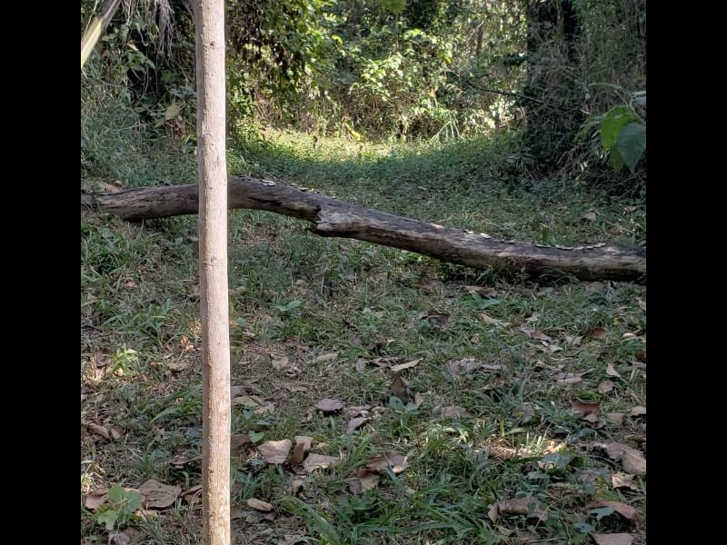 Terreno à venda Santa Inês com 1132m² e  quartos por R$ 400.000 - 1816256367-whatsapp-image-2018-07-09-at-17.jpeg