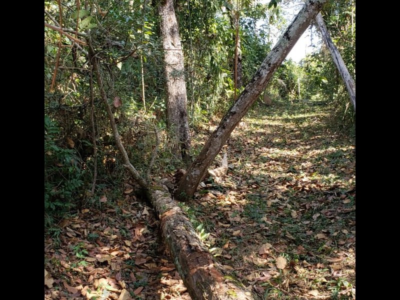 Terreno à venda Santa Inês com 1132m² e  quartos por R$ 400.000 - 300637985-whatsapp-image-2018-07-09-at-17.jpeg