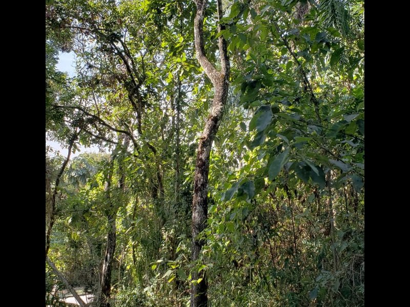 Terreno à venda Santa Inês com 1132m² e  quartos por R$ 400.000 - 420290757-whatsapp-image-2018-07-09-at-17.jpeg