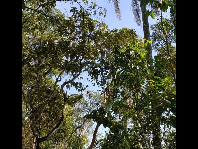 Terreno à venda Santa Inês com 1132m² e  quartos por R$ 400.000 - 420818801-whatsapp-image-2018-07-09-at-17.jpeg