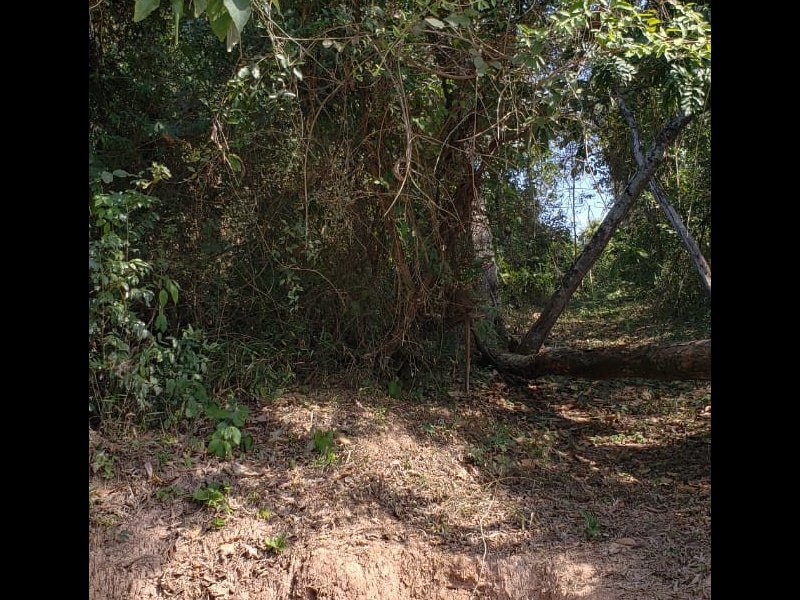 Terreno à venda Santa Inês com 1132m² e  quartos por R$ 400.000 - 811421234-whatsapp-image-2018-07-09-at-17.jpeg