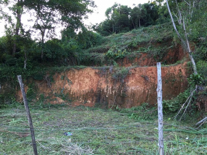 Terreno à venda Jardim Botujuru com 430m² e  quartos por R$ 35.000 - 1731328170-whatsapp-image-2019-03-10-at-14.jpeg