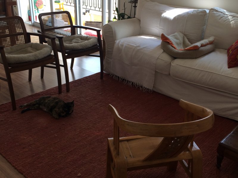 Apartamento à venda Morumbi com 50m² e 2 quartos por R$ 620.000 - 1470645955-bd738296-1fc4-473e-99c0-5d508d425b0e.jpeg