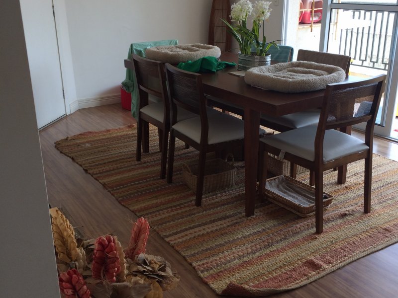 Apartamento à venda Morumbi com 50m² e 2 quartos por R$ 620.000 - 1699183685-8ebc80af-c507-4984-9ed4-2f35c0638e94.jpeg