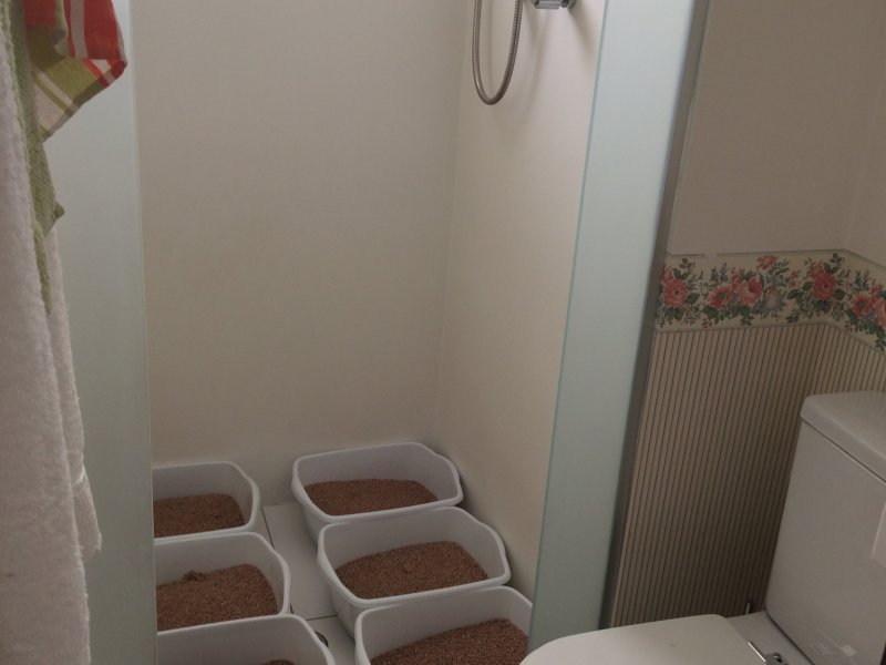 Apartamento à venda Morumbi com 50m² e 2 quartos por R$ 620.000 - 1817232910-d3ec8f91-8948-4180-b757-70345df63d75.jpeg