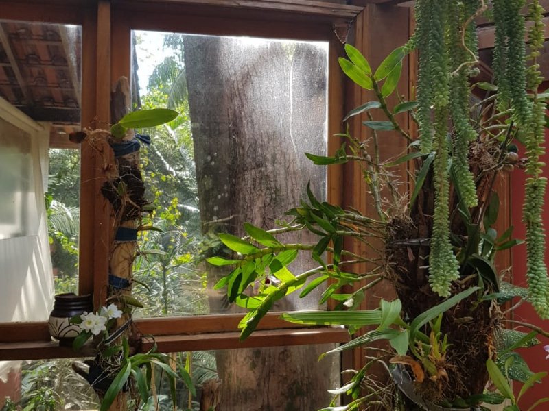 Casa de condomínio à venda Condomínio Iolanda com 340m² e 2 quartos por R$ 2.900.000 - 1156389425-40-pergolado-2.jpg