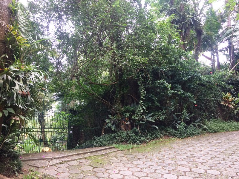 Casa de condomínio à venda Condomínio Iolanda com 340m² e 2 quartos por R$ 2.900.000 - 241522377-3-portao-1-rua.jpg