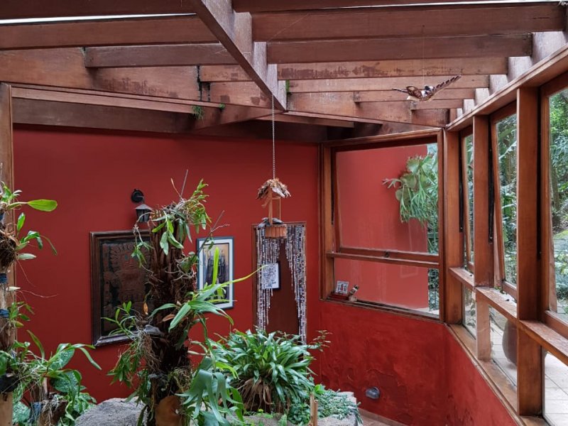 Casa de condomínio à venda Condomínio Iolanda com 340m² e 2 quartos por R$ 2.900.000 - 433964051-44-pergolado-entrada-da-suite-principal.jpg