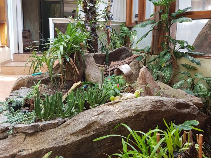 Casa de condomínio à venda Condomínio Iolanda com 340m² e 2 quartos por R$ 2.900.000 - 506565749-39-pergolado-1.jpg