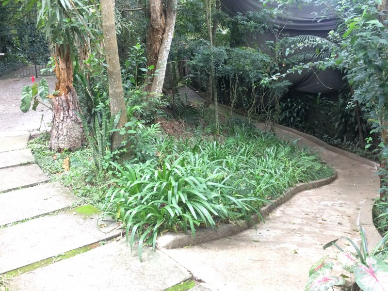 Casa de condomínio à venda Condomínio Iolanda com 340m² e 2 quartos por R$ 2.900.000 - 869754506-5-portao-4-entrada-de-pedestres.jpg