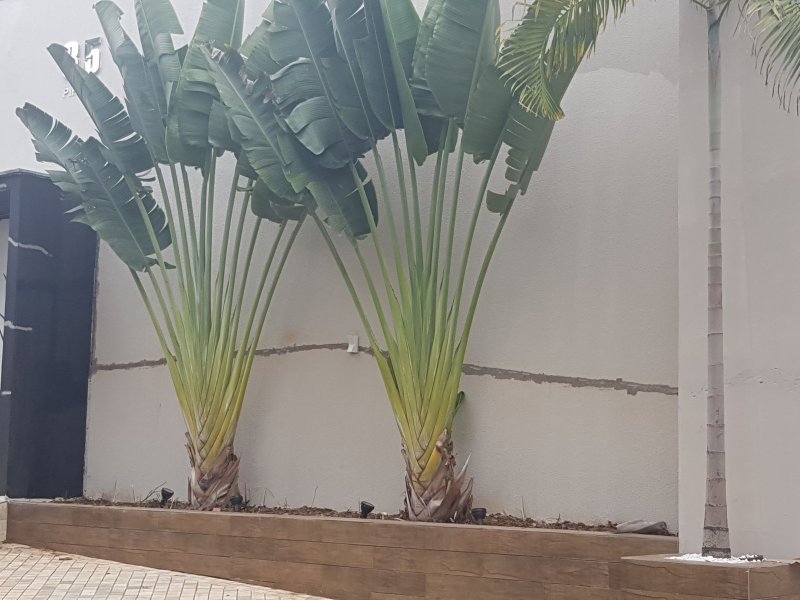 imóvel com 1142m² - Artemis - Piracicaba