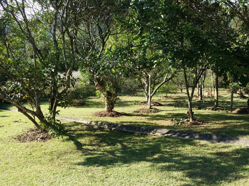 Sítio à venda Centro com 600m² e 9 quartos por R$ 1.300.000 - 1453583954-20160525-143103-1.jpg