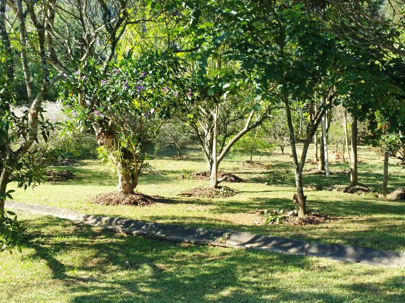 Sítio à venda Centro com 600m² e 9 quartos por R$ 1.300.000 - 221396501-20160525-143053.jpg