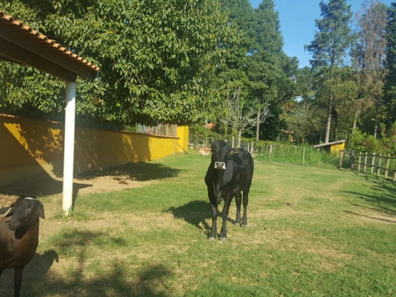 Sítio para alugar Eco Park Residence com 500m² e 3 quartos por R$ 800.000 - 1776220091-3b5621a2-e16f-4062-849a-120c1923f950.jpeg