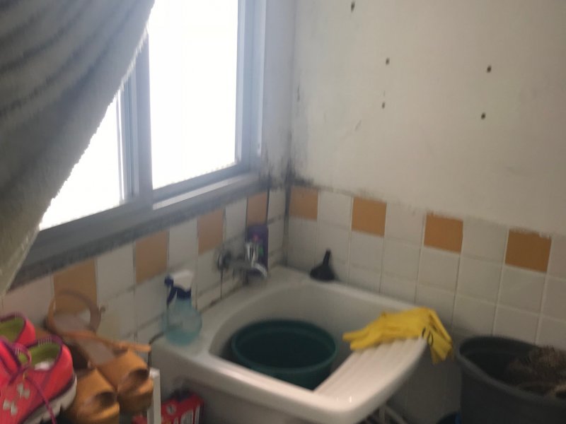 Terreno à venda Centro com 450m² e 0 quartos por R$ 150.000 - 1075762281-img-3119.jpg
