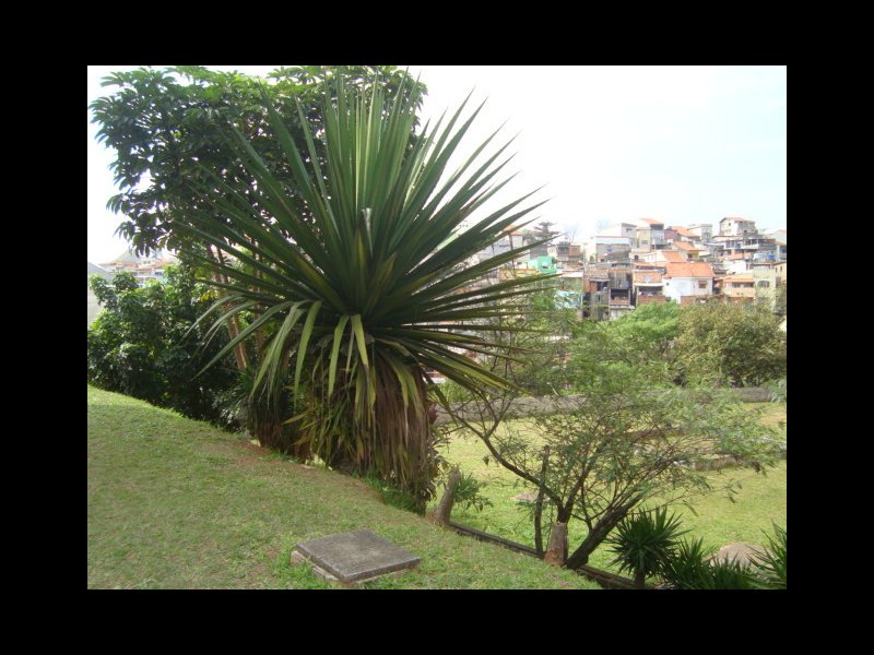 Apartamento à venda Cidade Antônio Estevão de Carvalho com 68m² e 3 quartos por R$ 220.000 - 2086923945-dsc09829.jpeg