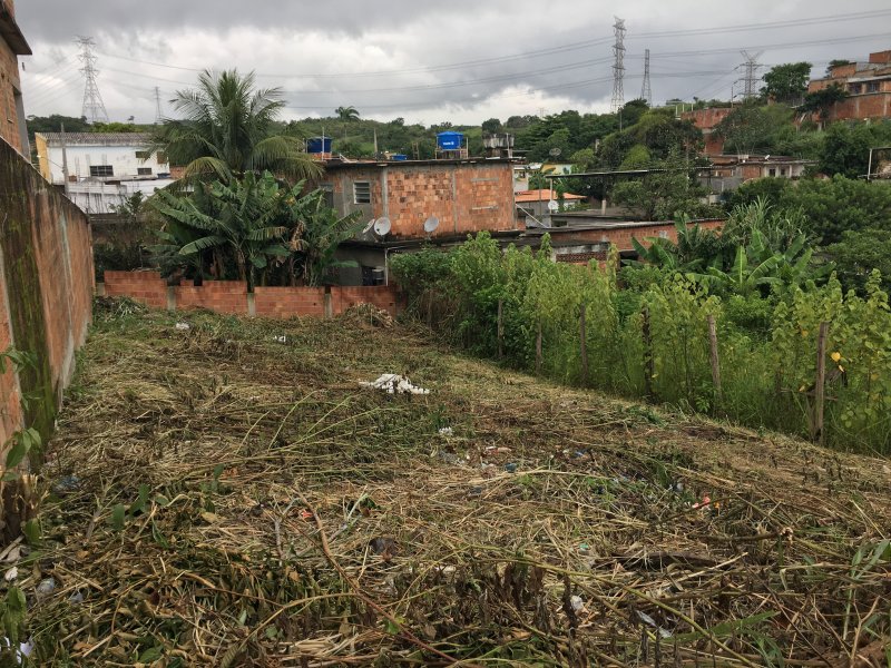 Terreno à venda Tinguazinho com 235m² e  quartos por R$ 60.000 - 1989050271-img-3414.jpeg
