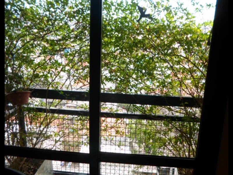 Apartamento à venda Freguesia do Ó com 68m² e 3 quartos por R$ 330.000 - 2136143210-img-20180923-wa0004.jpg