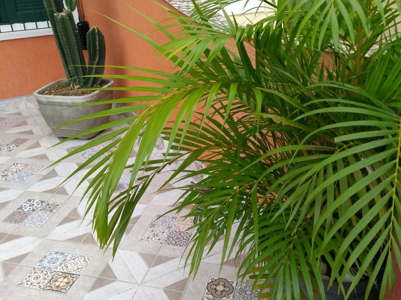 imóvel com 75m² - Imperador - Praia Grande