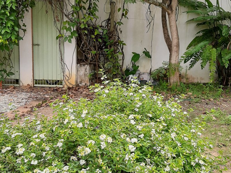 imóvel com 600m² - Margem Esquerda - Cachoeira Paulista