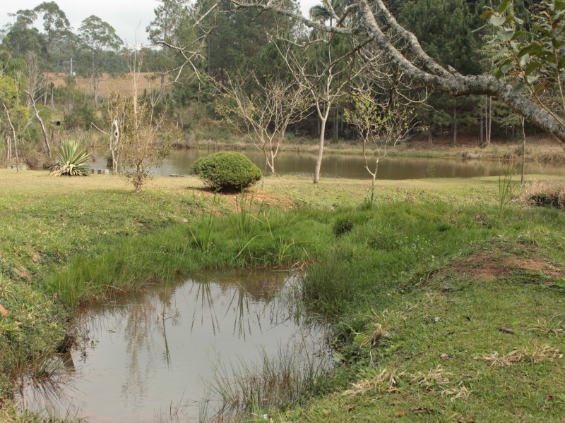 Terreno à venda Jardim San Ressore (Caucaia do Alto) com 800m² e  quartos por R$ 170.000 - 12049553-img-3889.JPG