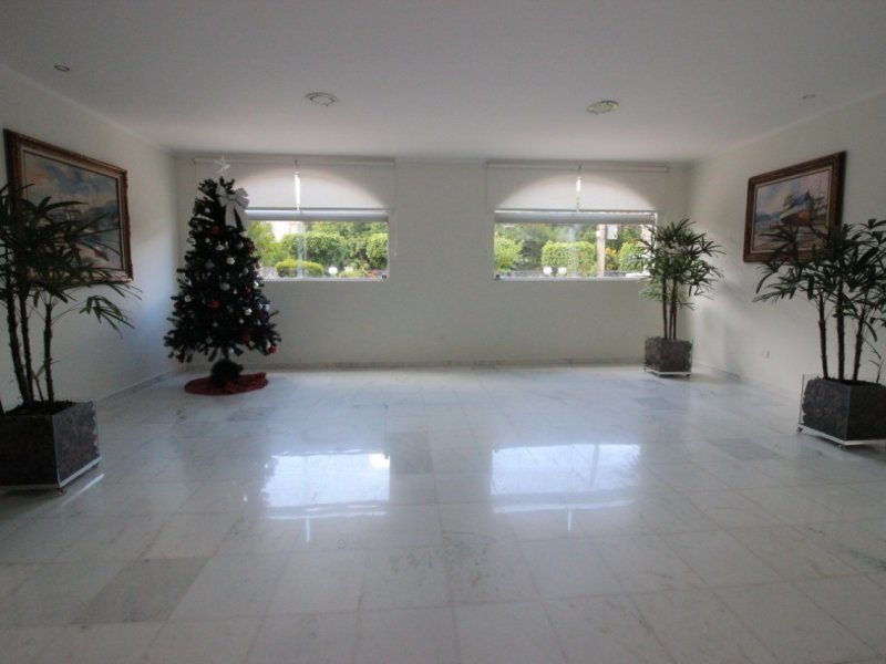 Apartamento à venda São Rafael com 61m² e 3 quartos por R$ 500.000 - 806691176-img-20200122-wa0023.jpg