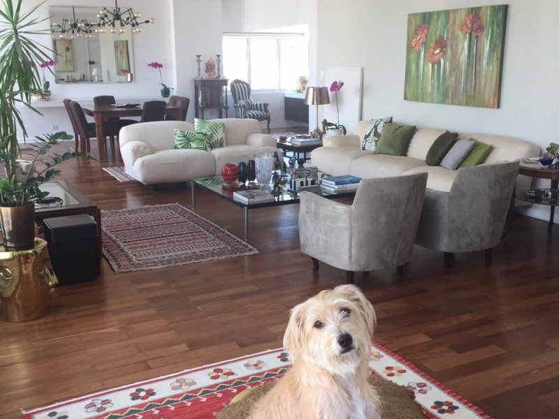 Apartamento à venda Jardim Paulista com 257m² e 4 quartos por R$ 3.500.000 - 291257372-img-20190312-wa0131.jpg