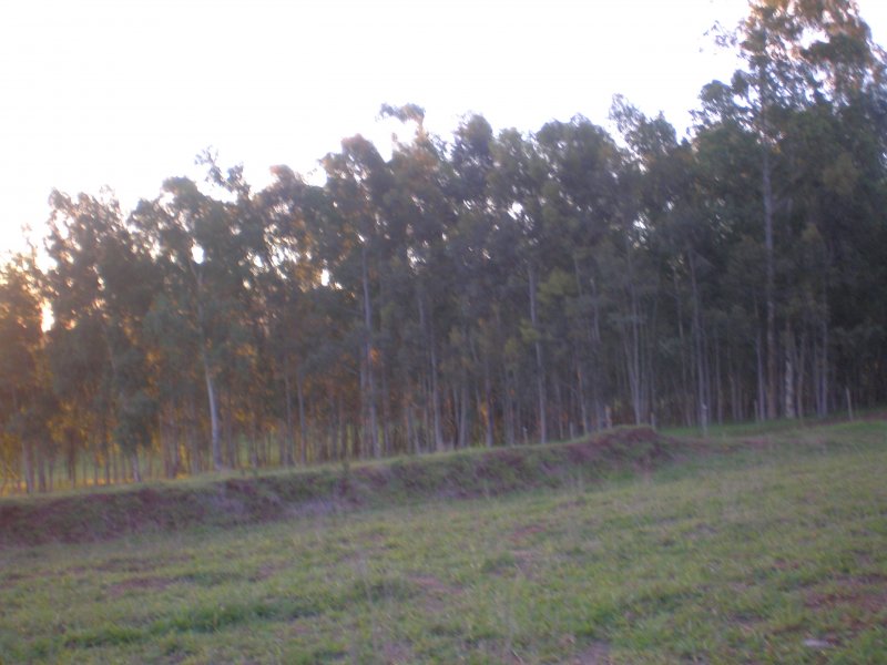 imóvel com 288000m² - Centro - Piraju