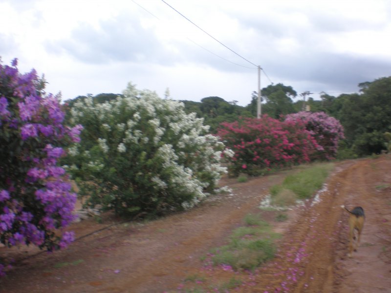 imóvel com 288000m² - Centro - Piraju
