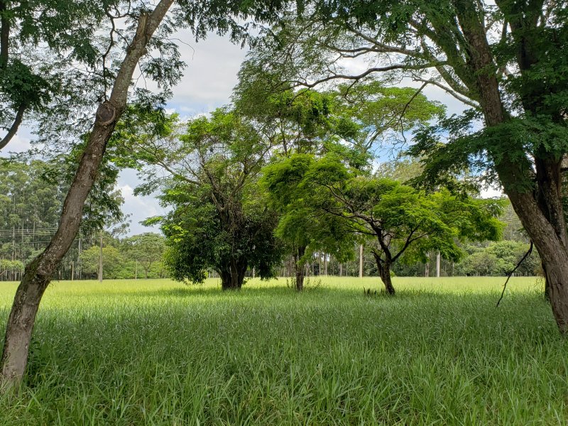 Terreno à venda Zona Rural com 744m² e  quartos por R$ 50.000 - 968604880-20190221-124921.jpg
