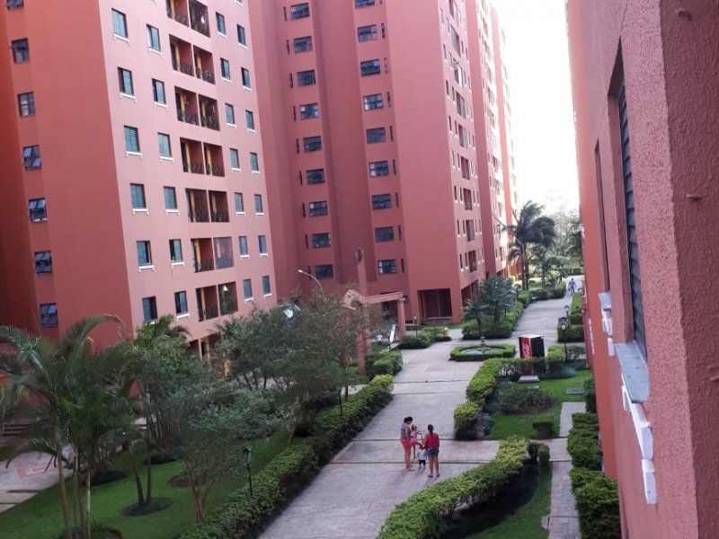 Apartamento à venda Cidade Ademar com 61m² e 3 quartos por R$ 330.000 - 1599194824-img-20190109-wa0025.jpg