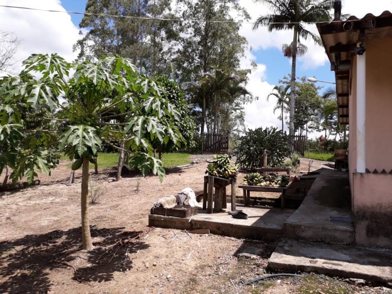 Chácara à venda Pe da Serra com 25300m² e 3 quartos por R$ 180.000 - 1241900737-dugo6960.JPG