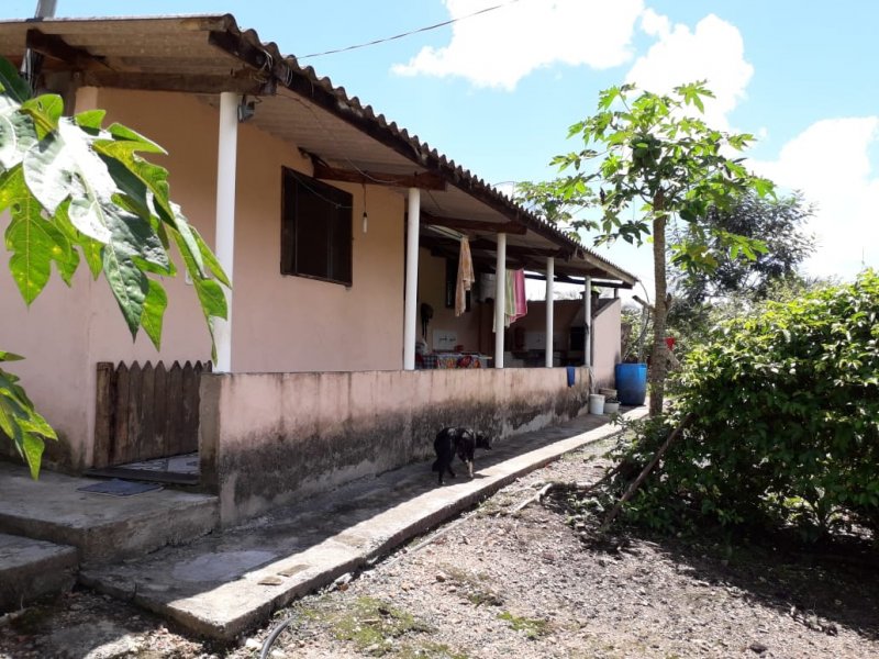 Chácara à venda Pe da Serra com 25300m² e 3 quartos por R$ 180.000 - 1615755736-dkfq3670.JPG
