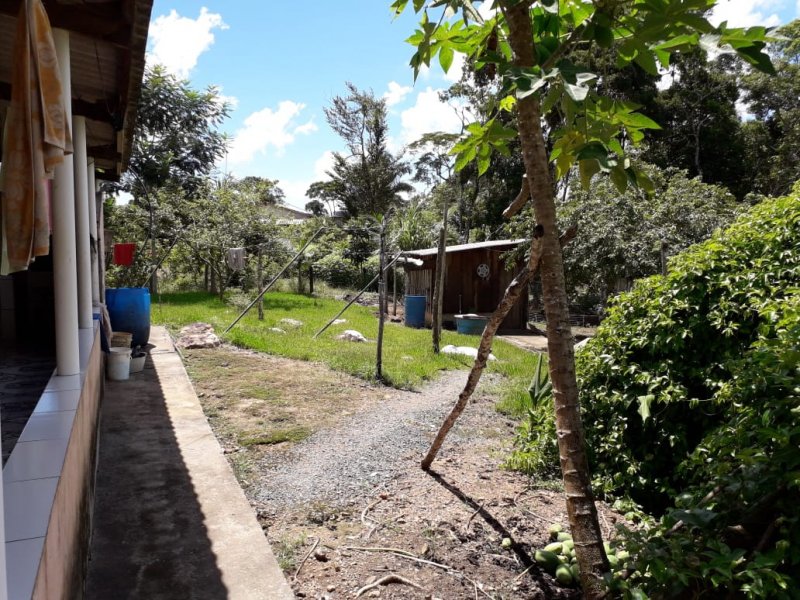 Chácara à venda Pe da Serra com 25300m² e 3 quartos por R$ 180.000 - 20917691-mmfo3536.JPG