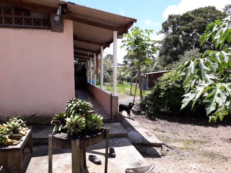 Chácara à venda Pe da Serra com 25300m² e 3 quartos por R$ 180.000 - 451203804-pwxl2636.JPG