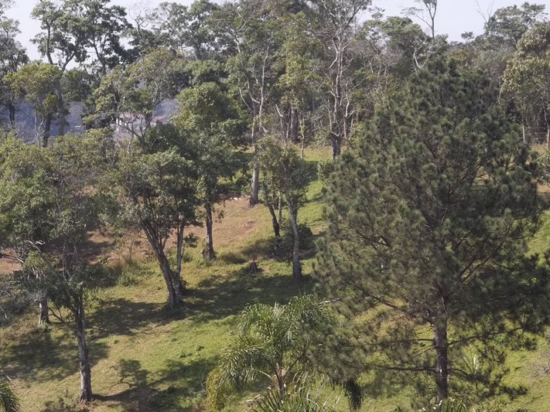 Chácara à venda Parelheiros com 5600m² e 3 quartos por R$ 340.000 - 515513340-whatsapp-image-2019-07-10-at-15.jpeg