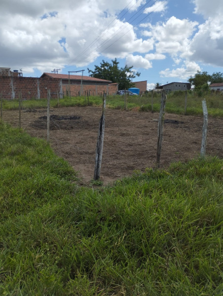 Terreno à venda Sapopemba com 59m² e 1 quarto por R$ 30.000 - 1952784423-img-20230406-wa0012.jpg
