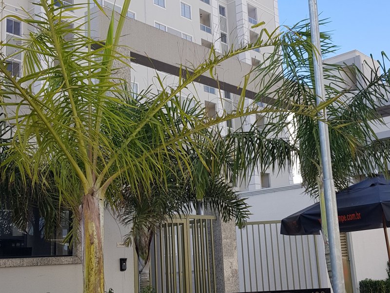 Apartamento à venda Utinga com 50m² e 2 quartos por R$ 250.000 - 1257019958-20180718-103902.jpg