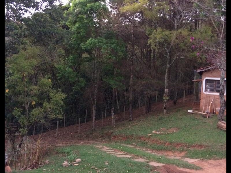 imóvel com 387000m² - Centro - Amparo