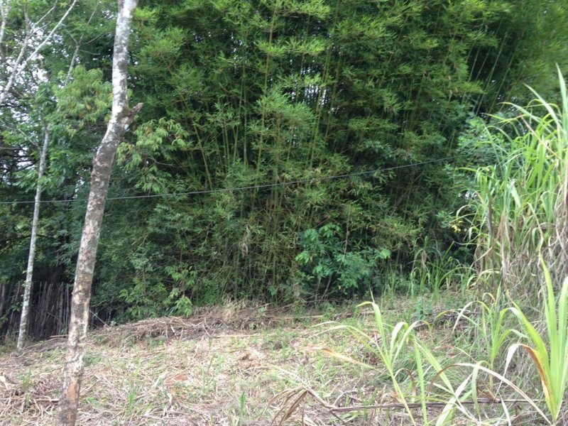 Sítio à venda Centro com 10000m² e 5 quartos por R$ 700.000 - 1418121553-unadjustednonraw-thumb-1f3.jpg