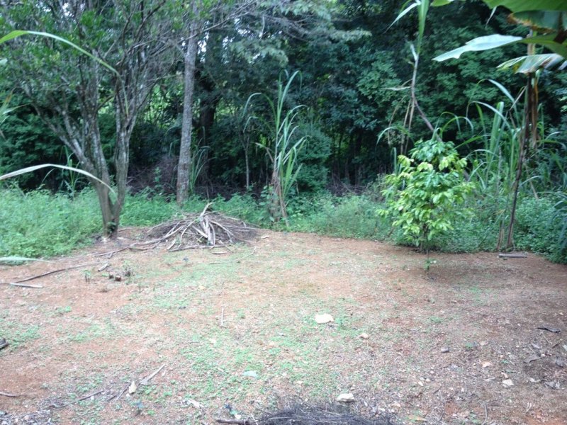 Sítio à venda Centro com 10000m² e 5 quartos por R$ 700.000 - 1715425093-unadjustednonraw-thumb-201.jpg
